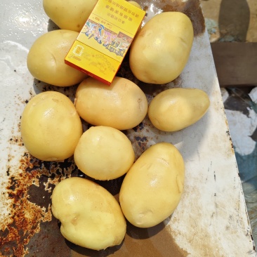 土豆