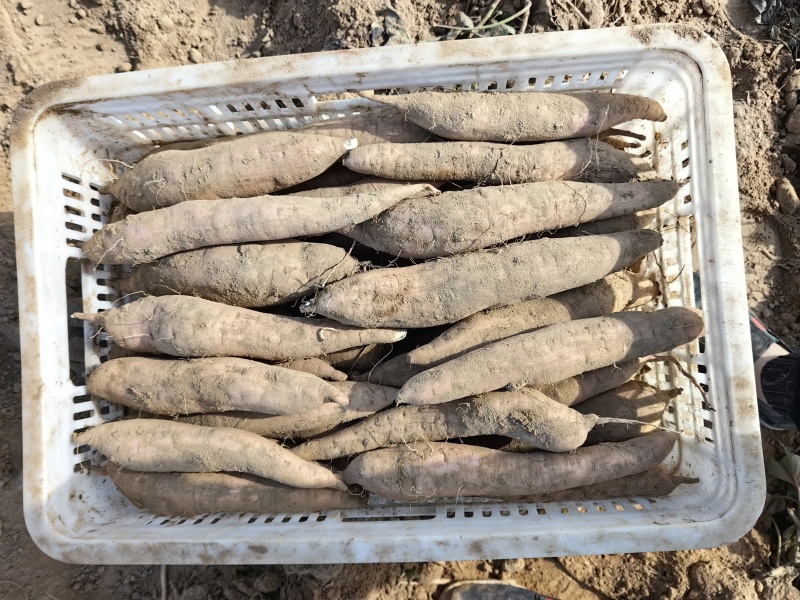 偏远地区；价格便宜；大量有货