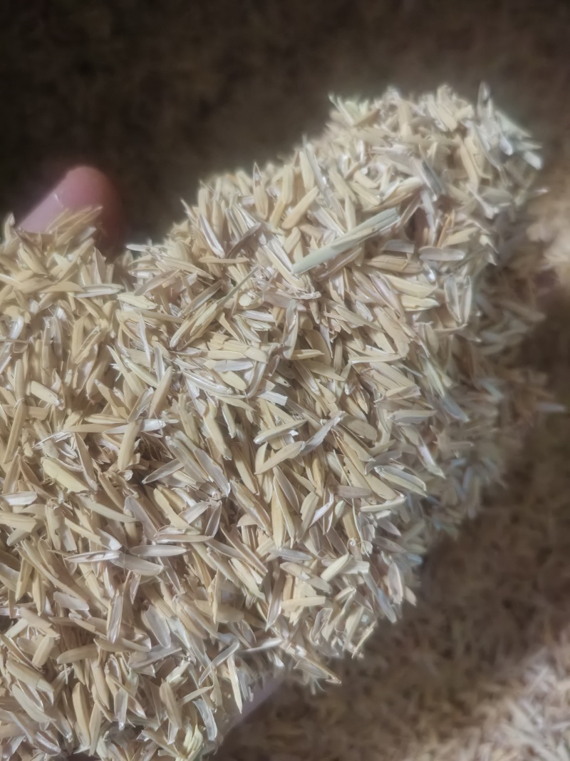 优质广西压缩稻壳，袋装稻壳