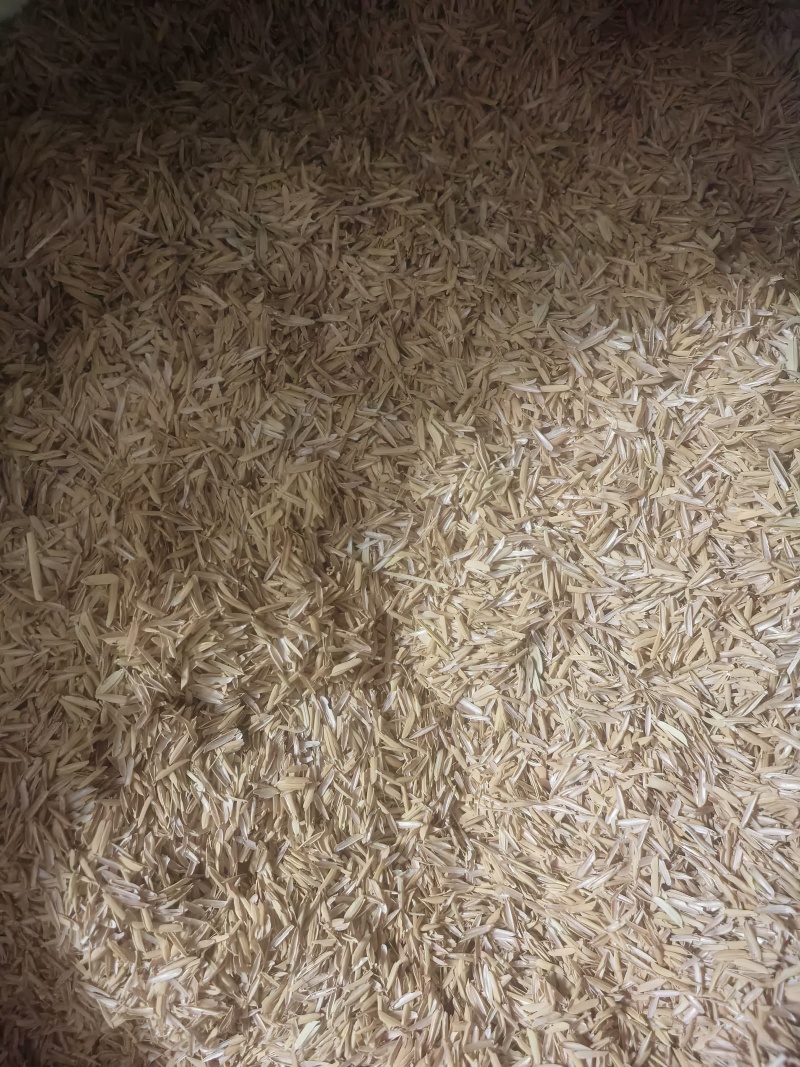优质广西压缩稻壳，袋装稻壳