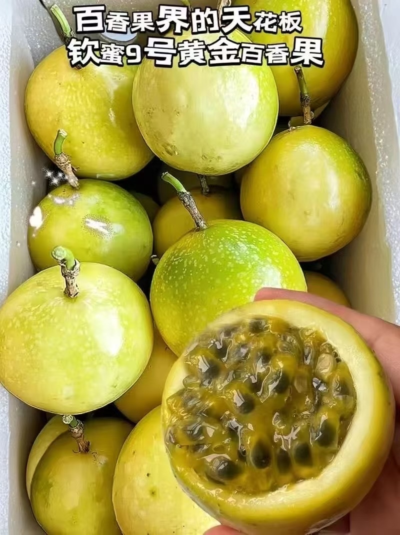 大量批发百香果