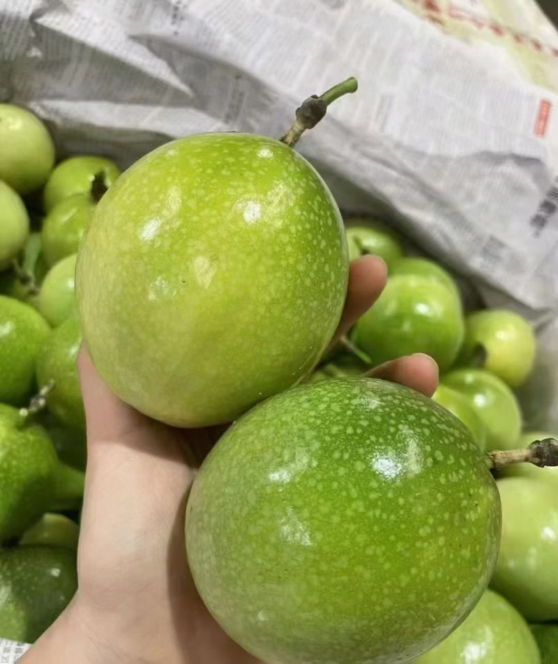 大量批发百香果