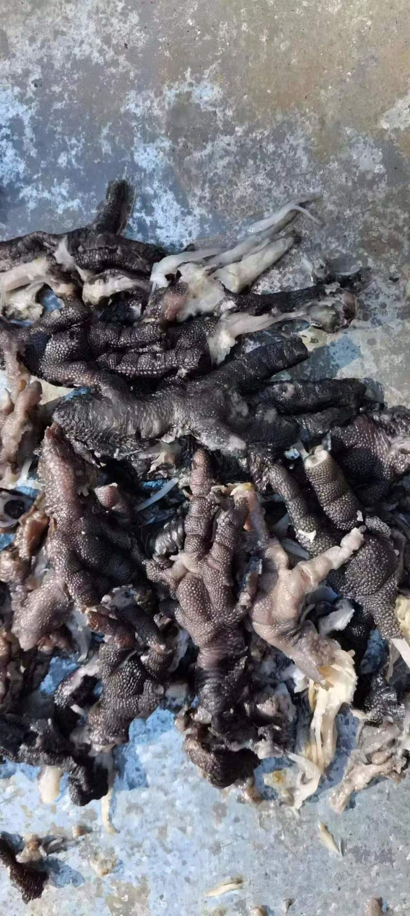 熟脱骨乌鸡爪3吨价格便宜