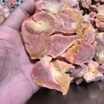公鸡鸡胗有货八吨