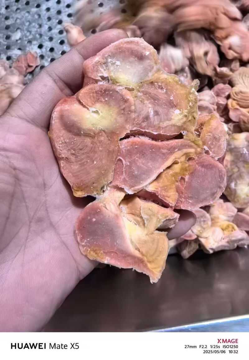公鸡鸡胗有货八吨