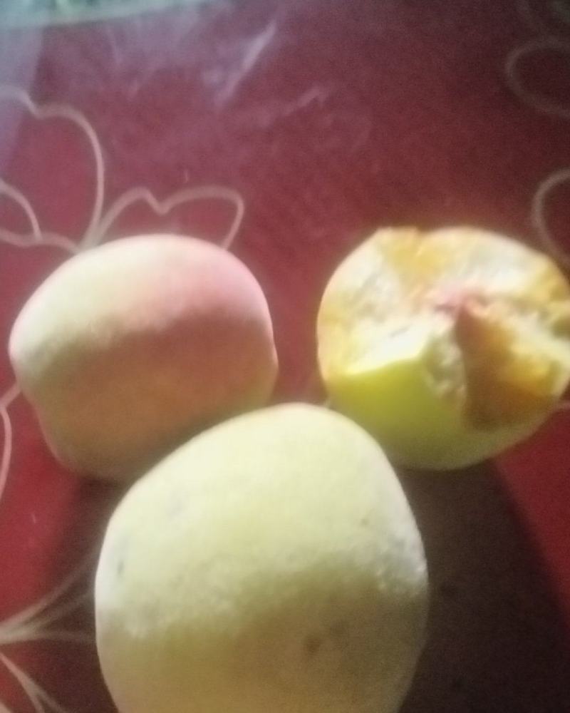 黄桃，