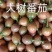 云南大树番茄批发｜自家种植+几十年批发收购经验｜源头好货