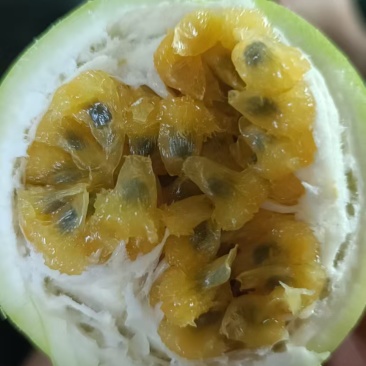 云南高原黄金百香果