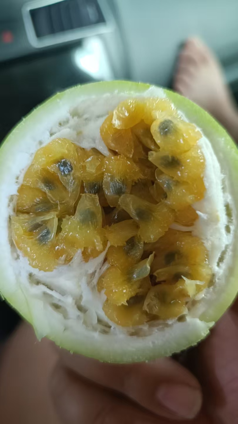云南高原黄金百香果