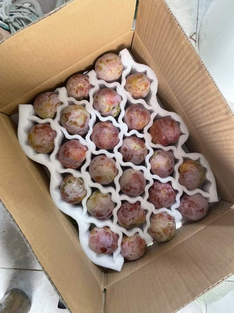 中国四堡雕版印刷芙蓉李之乡