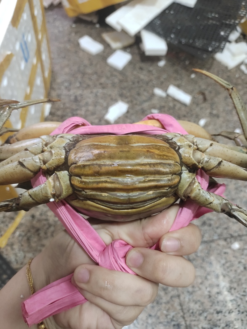 青蟹