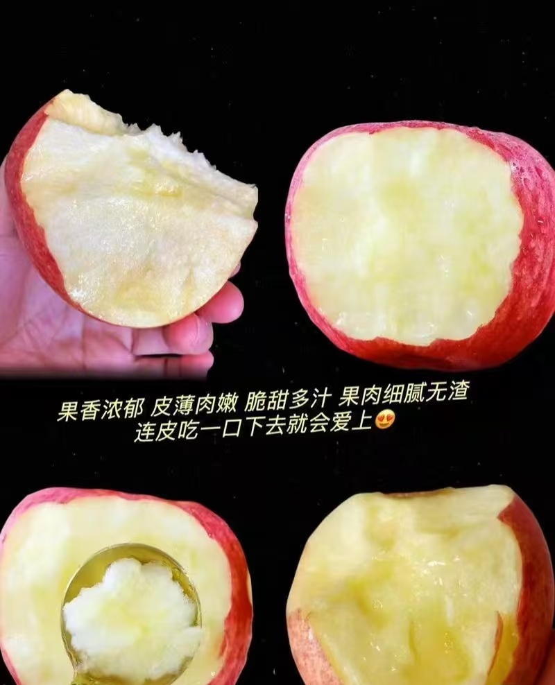 山东红富士苹果(支持一件代发)