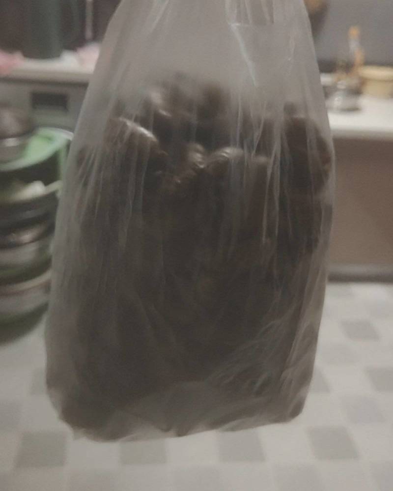 蝉悦