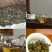 宁洱普洱茶