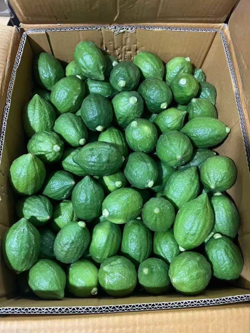 广东香水柠檬奶茶店商用