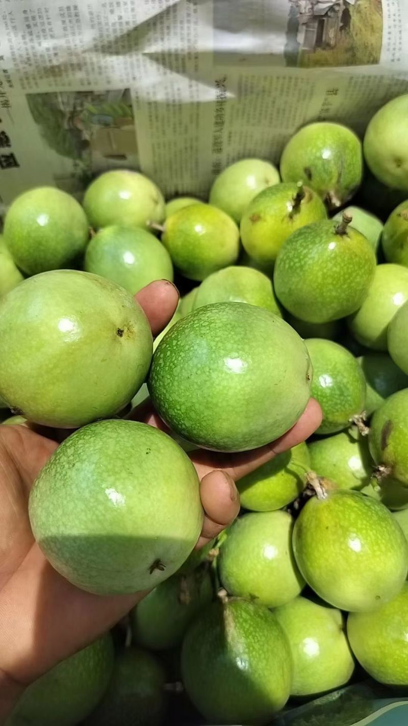广西钦州钦蜜9号百香果