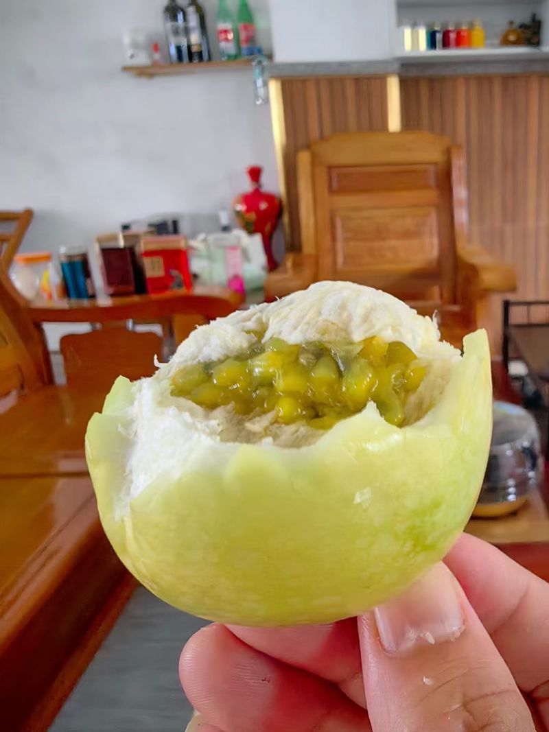 广西钦州钦蜜9号百香果
