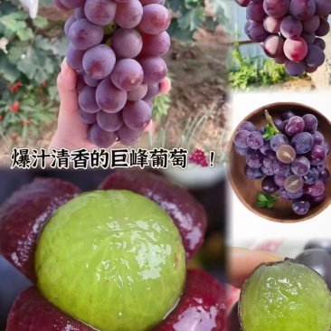 夏黑葡萄，巨峰葡萄