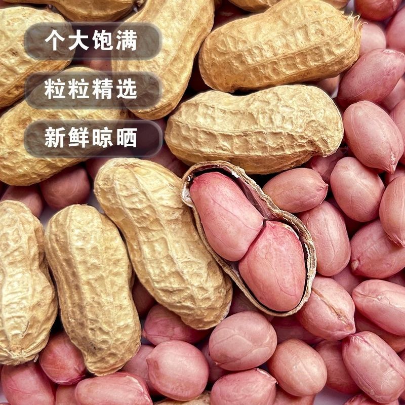 带壳干花生，当季晒干，颗粒饱满，量大可议价