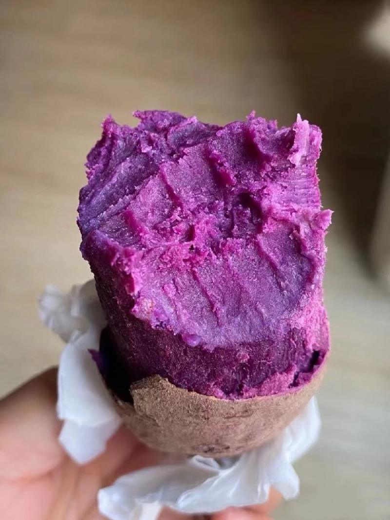 湖北农家现挖紫薯