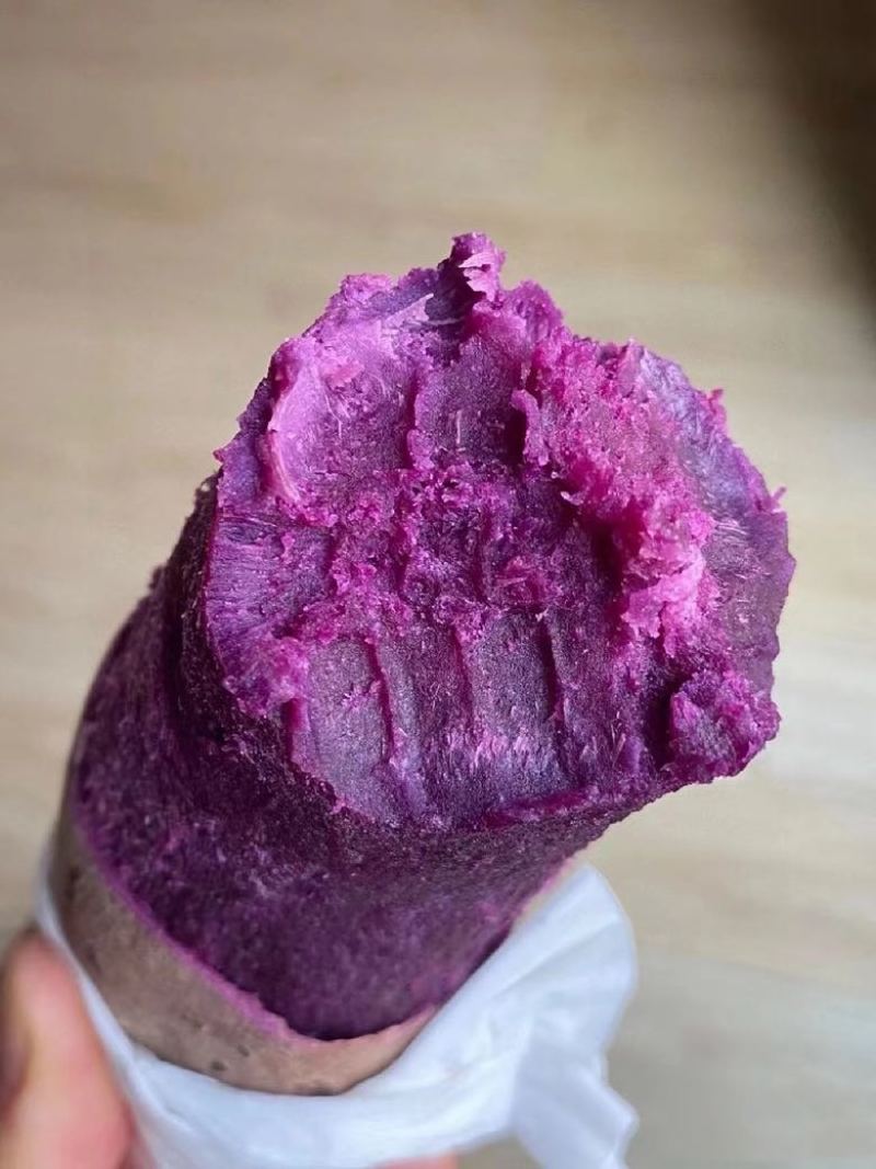 湖北农家现挖紫薯