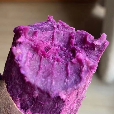 湖北农家现挖紫薯