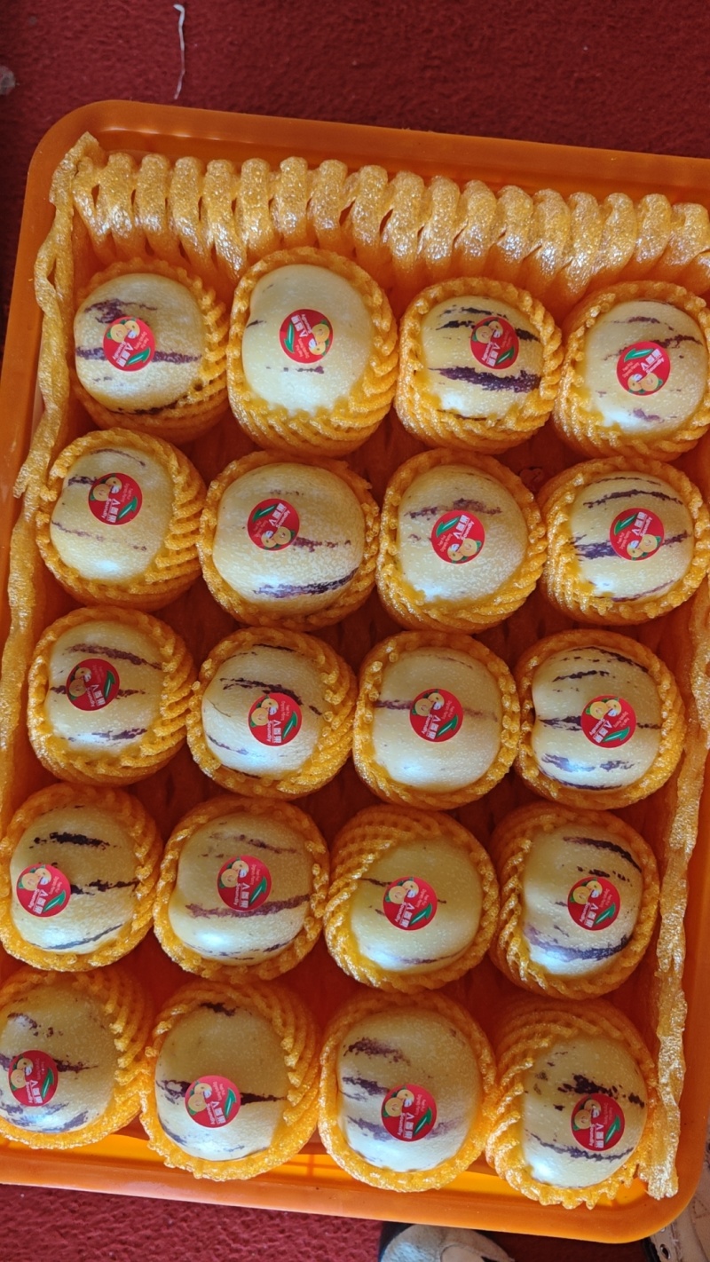 什么包装都有