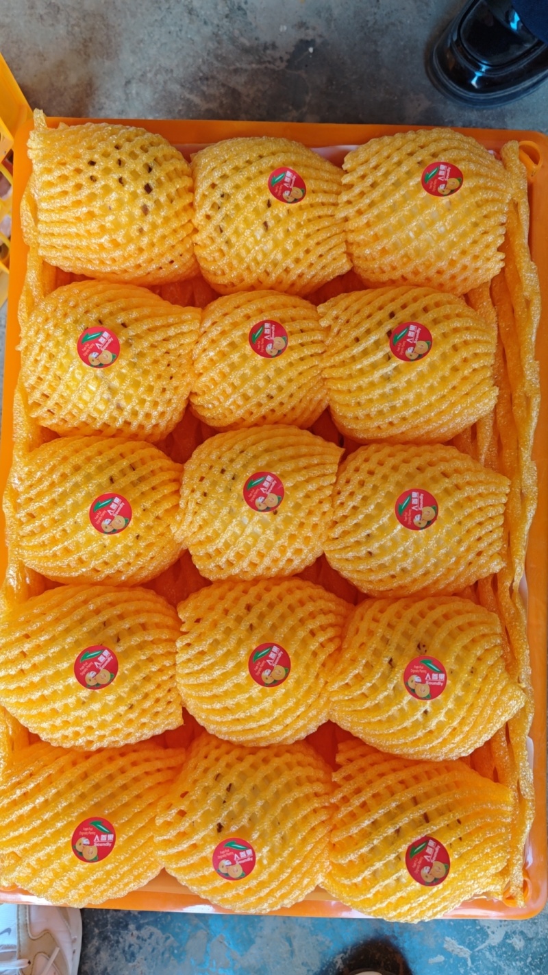 什么包装都有