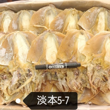 轻盐墨鱼干5-7个1斤，