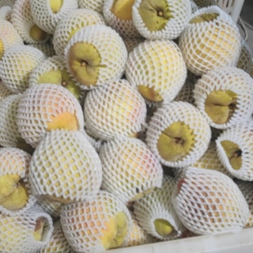 黄桃