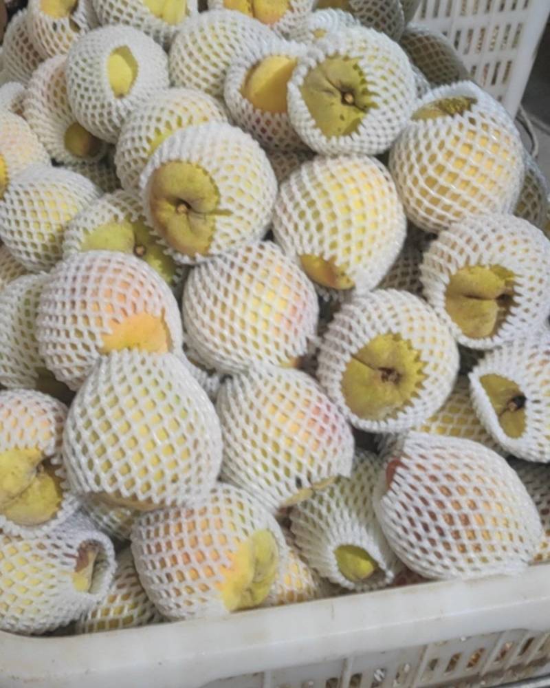 黄桃