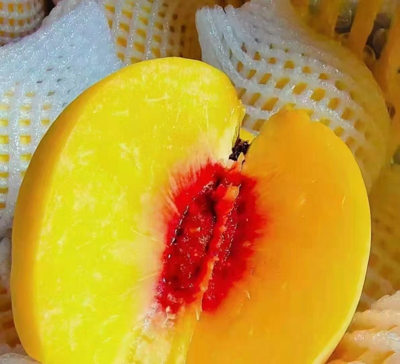 锦绣黄桃