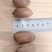云南大理生料碧根果
