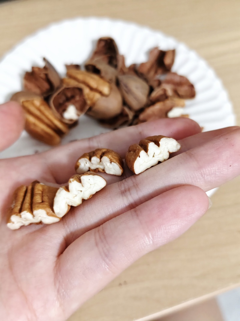 云南大理生料碧根果
