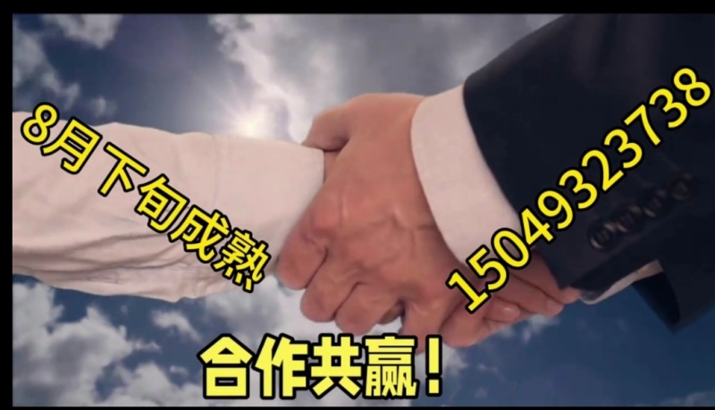 被阳光亲吻过的[蓝宝石西梅]，品质还会差吗？！
