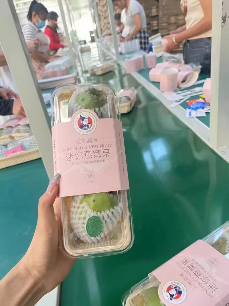 仙人掌果，仙人掌果礼盒装，送礼燕窝果，梨果