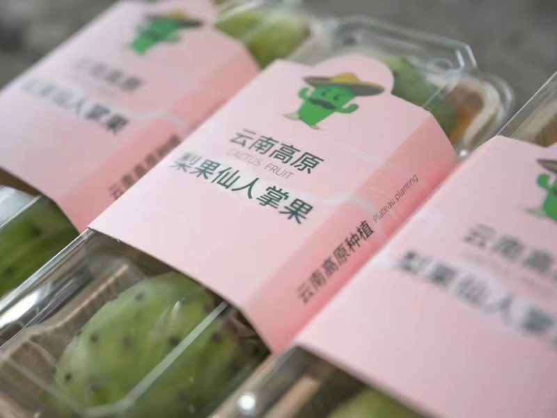 仙人掌果，仙人掌果礼盒装，送礼燕窝果，梨果