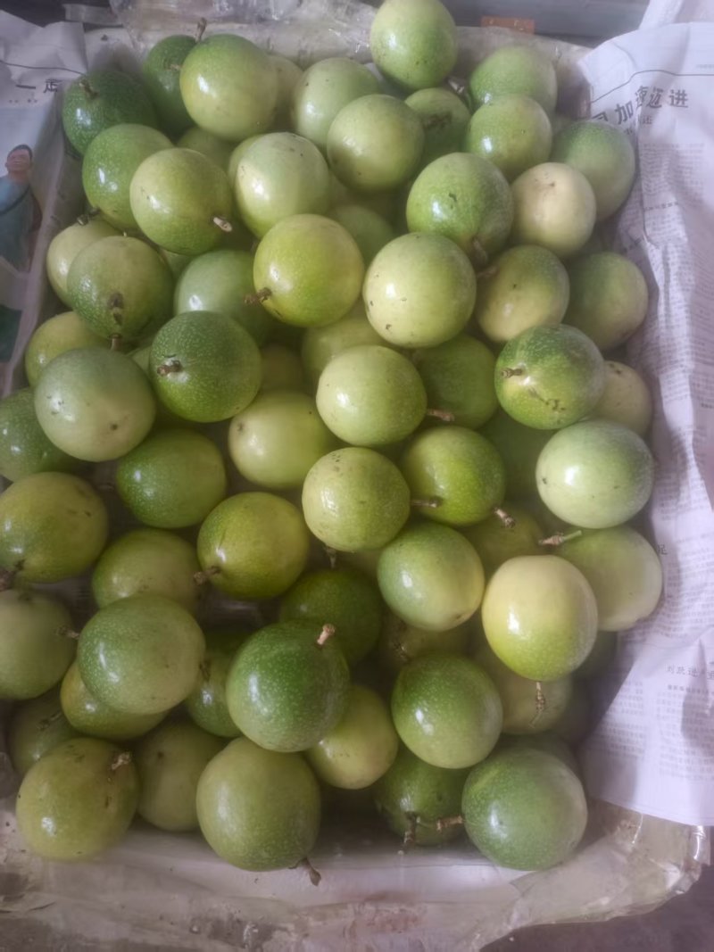 钦蜜黄金百香果，60g以上统果，大果和特大果靓果占据比例多。
