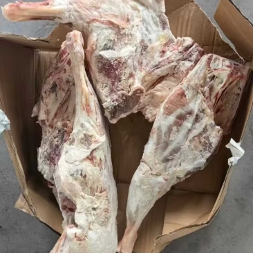137厂大羊后腿现货