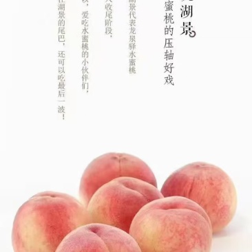龙泉水蜜桃