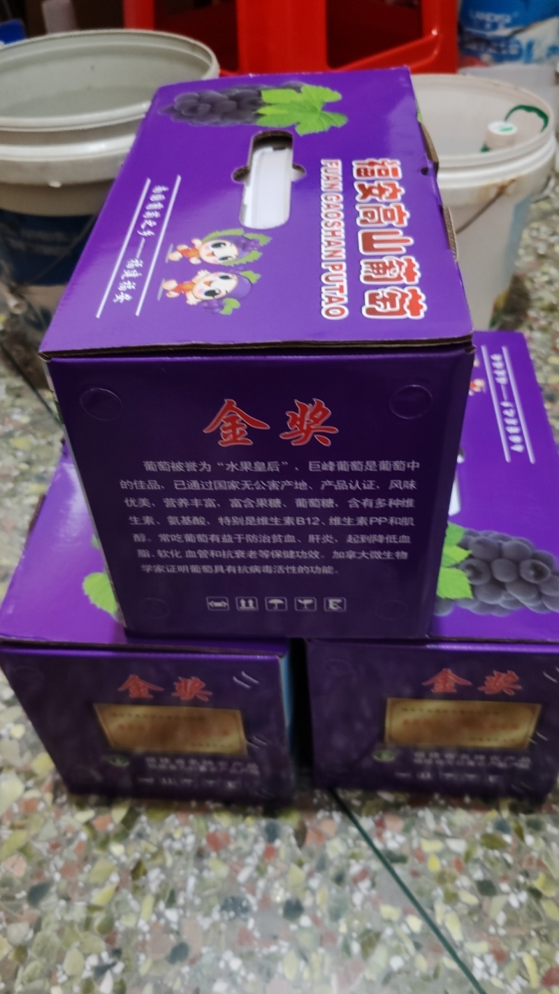 巨峰葡萄