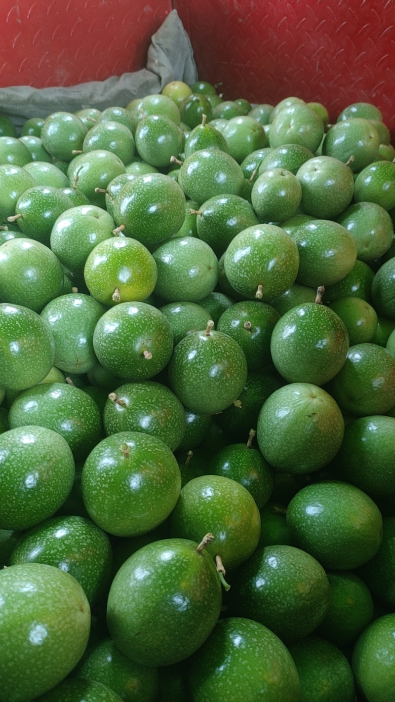 云南百香果
