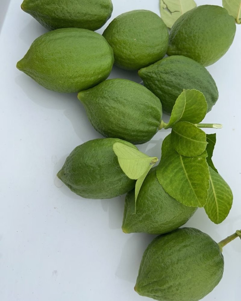 广东香水柠檬，塔希提