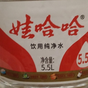 内蒙红土豆