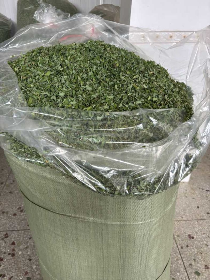 玉林容县本地今年新货大叶鸡骨草茶（相思藤茶）