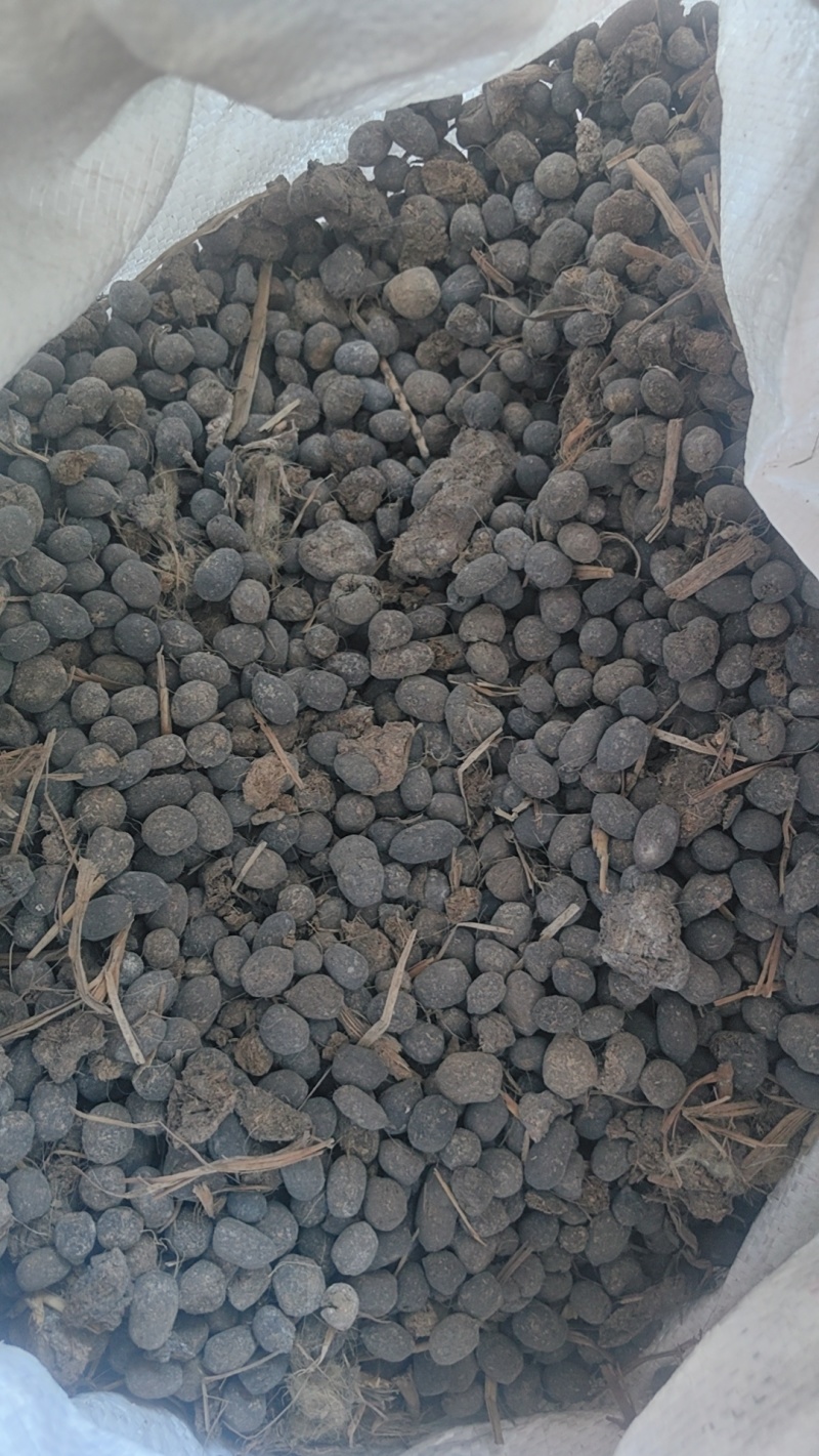 【提前预定】农家纯羊粪规格齐全价格透明欢迎进店