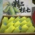 广西百色市田东县正宗桂七芒果