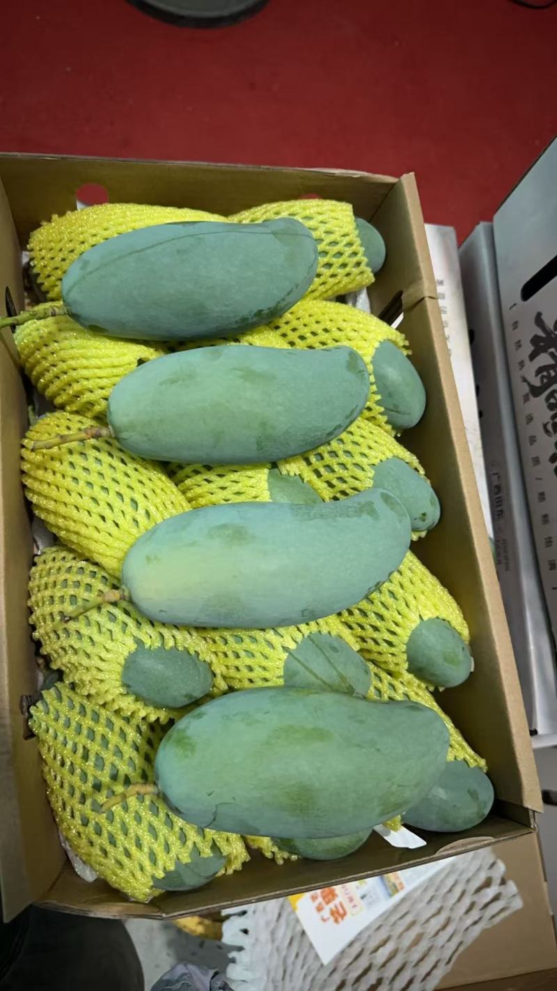 广西百色市田东县正宗桂七芒果