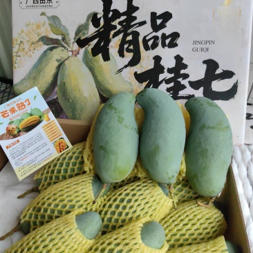 广西百色市田东县正宗桂七芒果