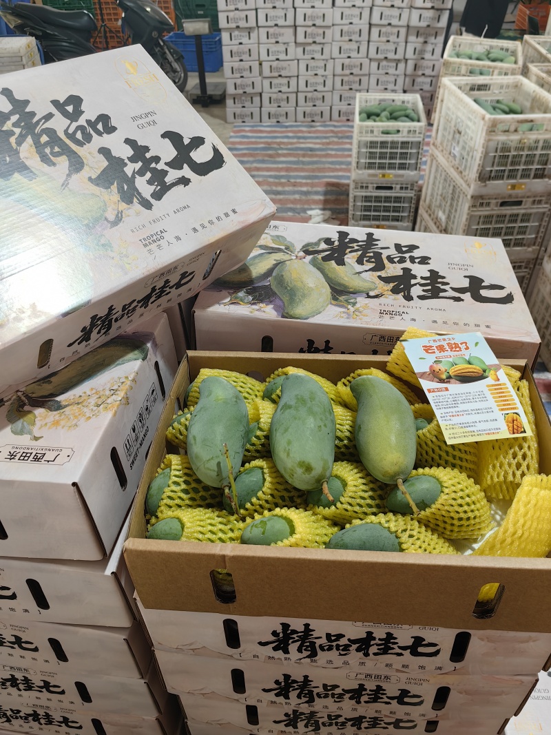 广西百色市田东县正宗桂七芒果
